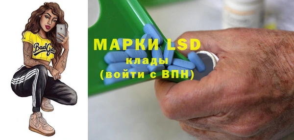 сатива Тольятти